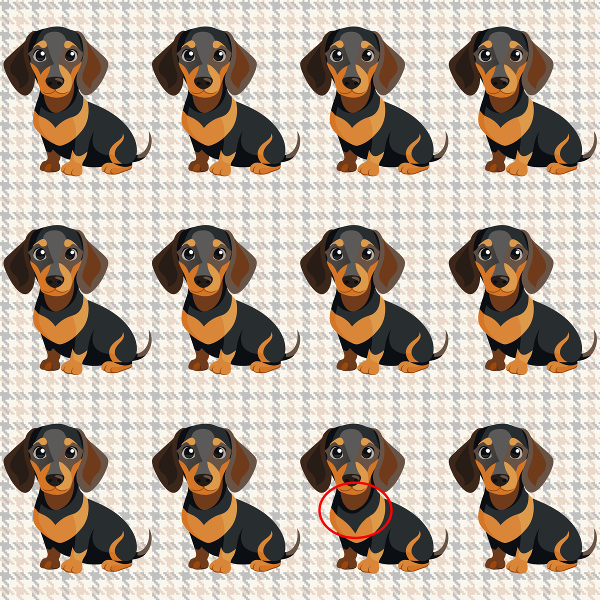 А вот и ответ!