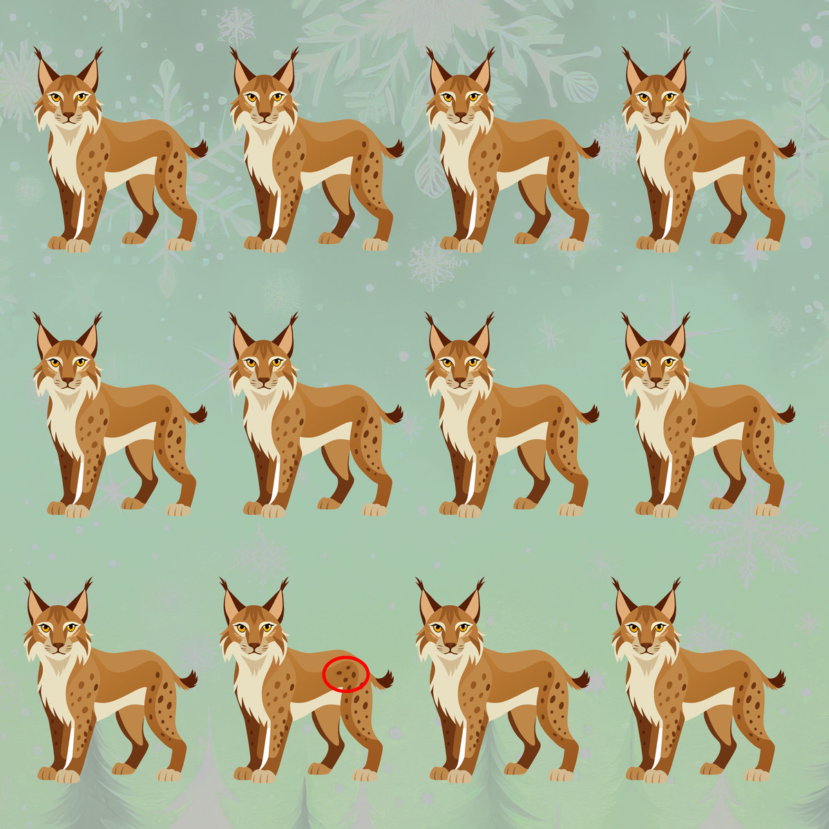 А вот и ответ!