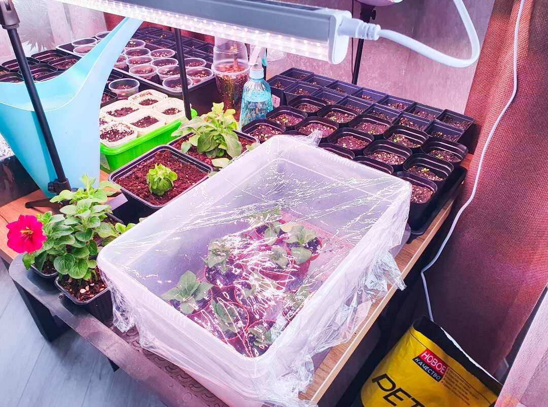 Первый год было как-то так