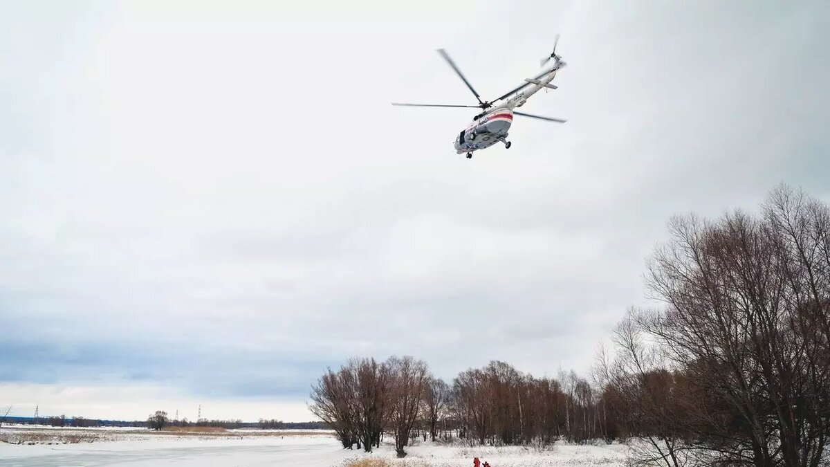     Источник: 1MI