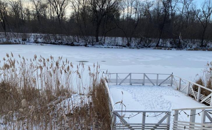    фото Курские известия