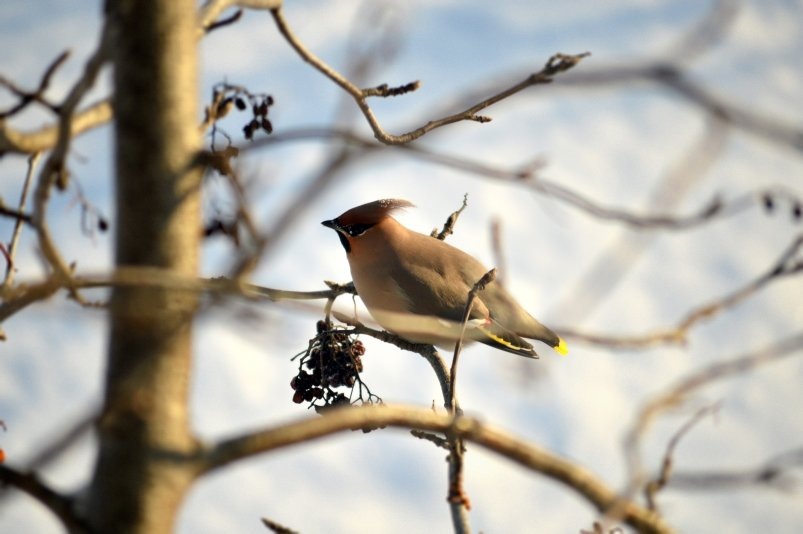    Фото: primamedia.ru Георгий