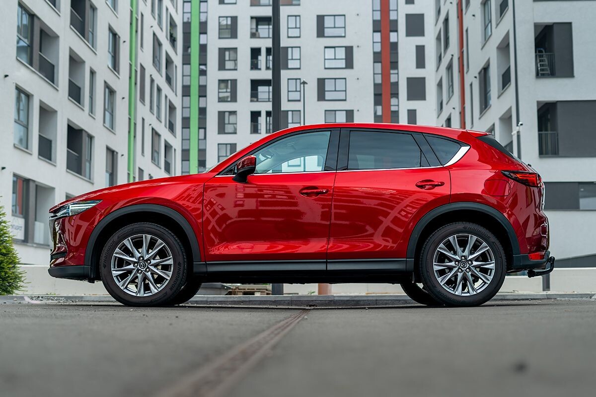    Фото: RoClickMag / Shutterstock.com