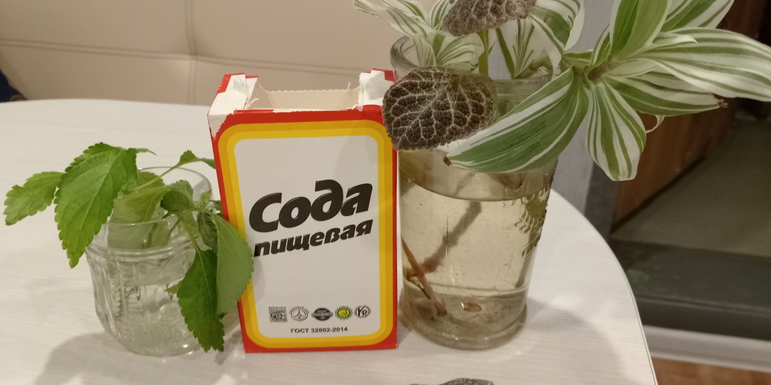 Про соду- единственный адекватный способ применения в саду. Разоблачение дурацких советов