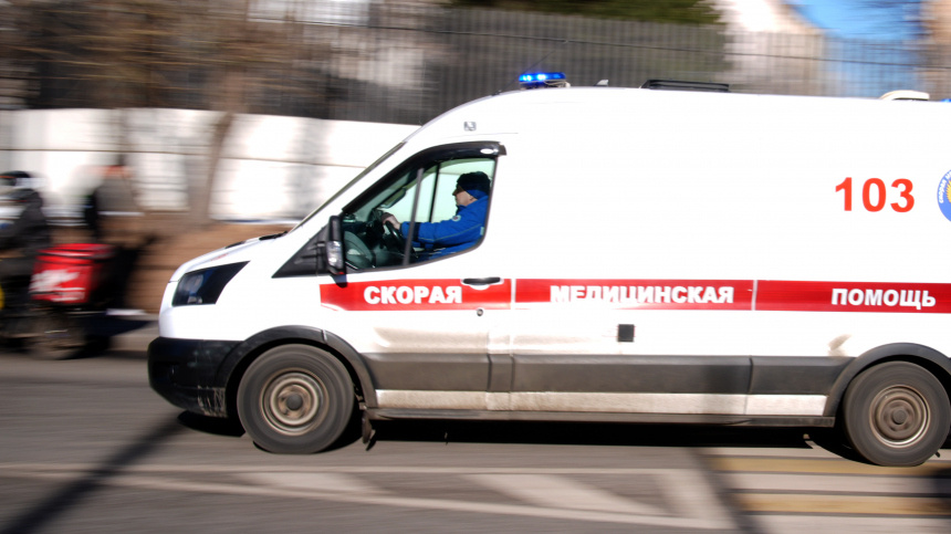    Фото: ИЗВЕСТИЯ/Эдуард Корниенко