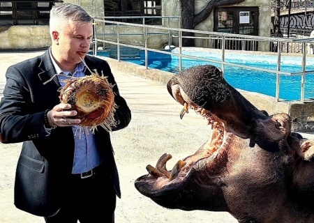    В Крыму чучело Масленицы сделали из татарской лепешки. И скормили российско-израильской бегемотихе