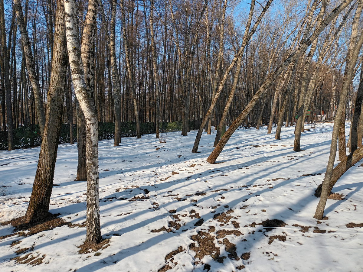 Фото автора.