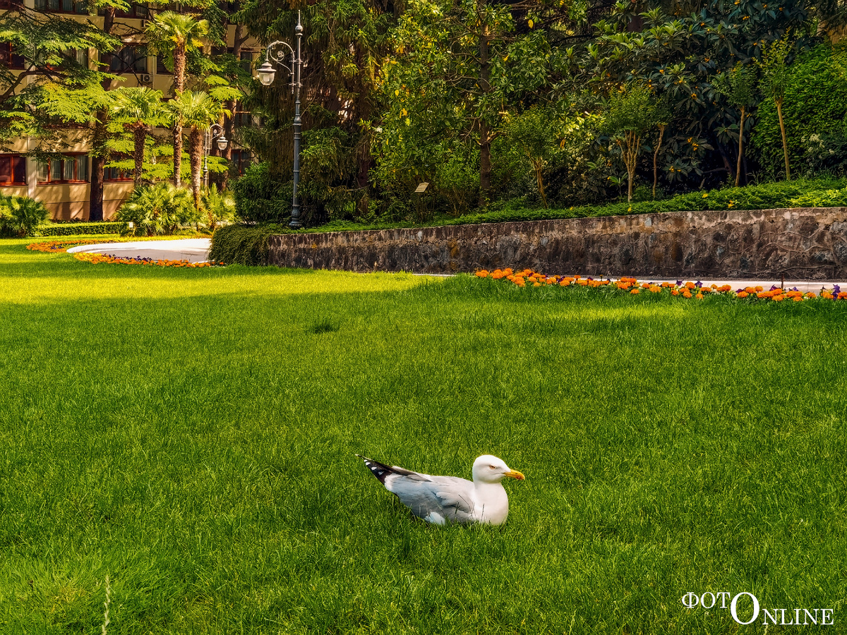 листайте вправо