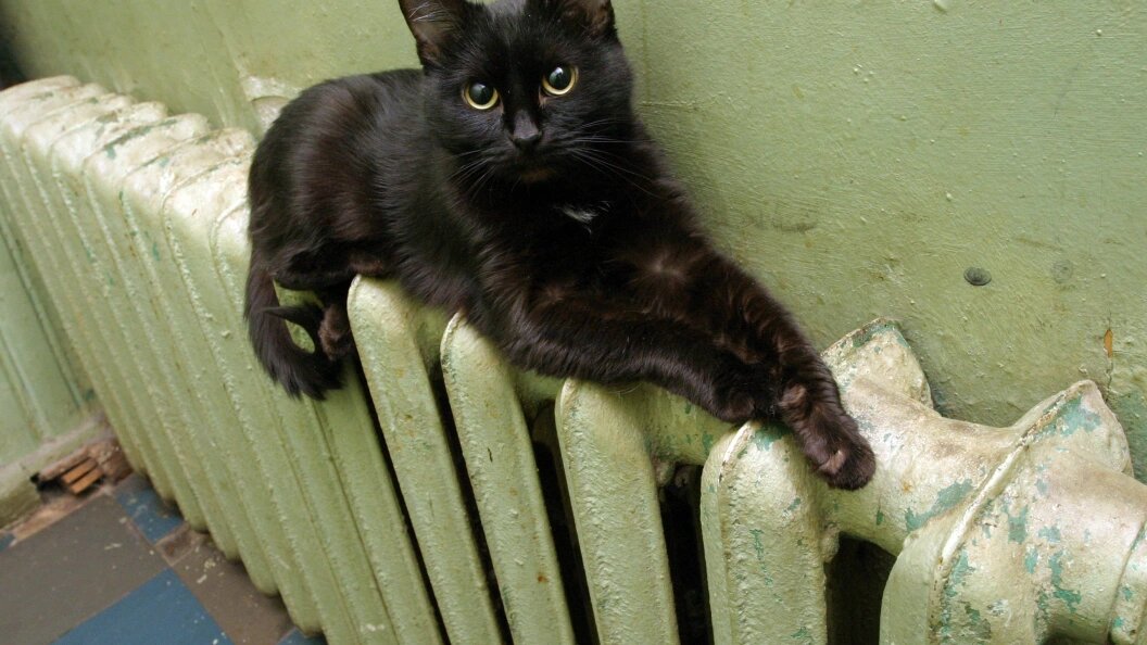    Фото: Zamir Usmanov/Global Look Press