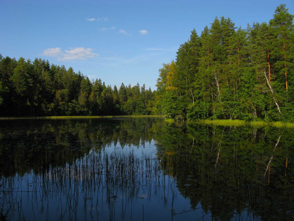 Вид на озеро Лесное с одной из стоянок на западном берегу.