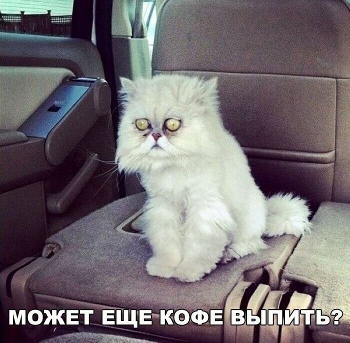 источник Яндекс-картинки