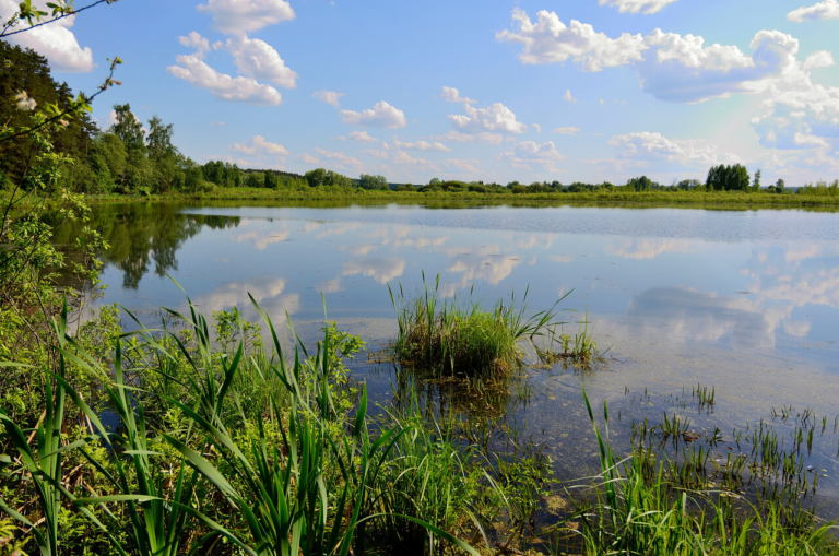    Фото: welcome.mosreg.ru Екатерина Шахнина