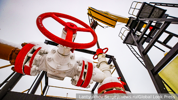     Фото: Lantyukhov Sergey/news.ru/Global Look Press   
 Текст: Антон Антонов