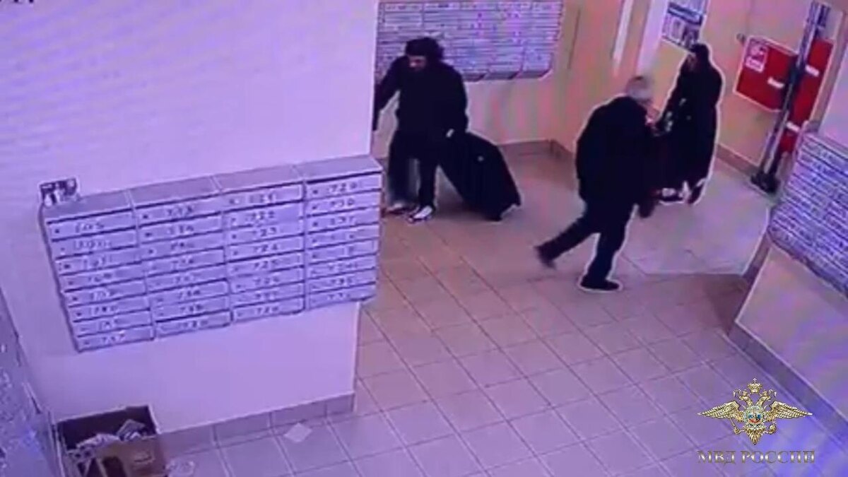    Фото: тг-канал Ирины Волк