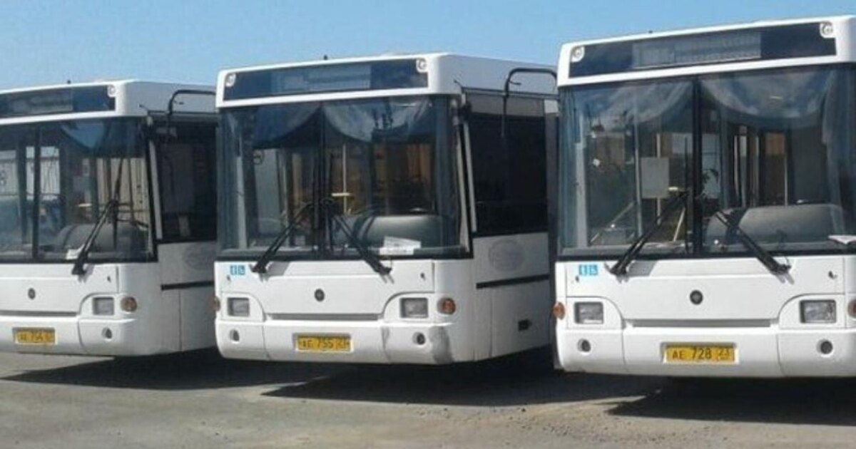 Фото: тг-канал Общественный транспорт г. Тимашевск