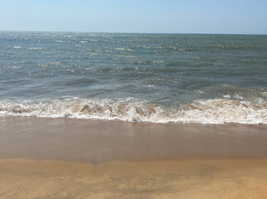 фото: Соня Садовая