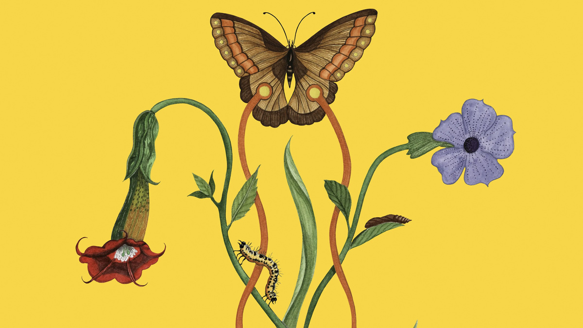 Фрагмент обложки альбома John Glacier - "Like a Ribbon"