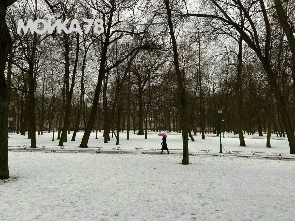    Таврический сад 3 марта. Фото: Мойка78
