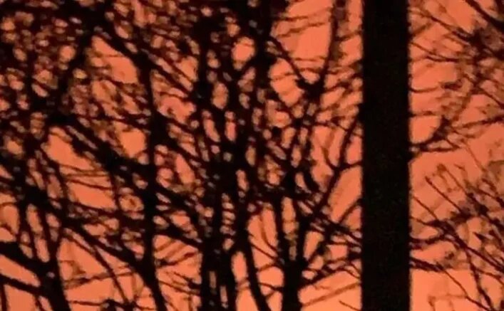    Зарево пожара в Чертковском районе. Фото: соцсети