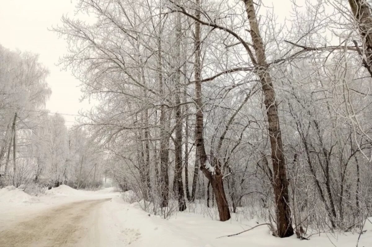    Новосибирцам напомнили о строгих запретах в Архипов день 4 марта