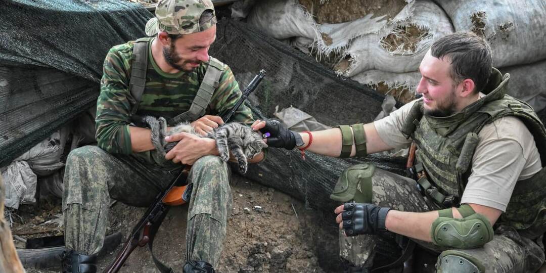 НИЧЕГО НЕ ПИШУТ В ПРЕССЕ