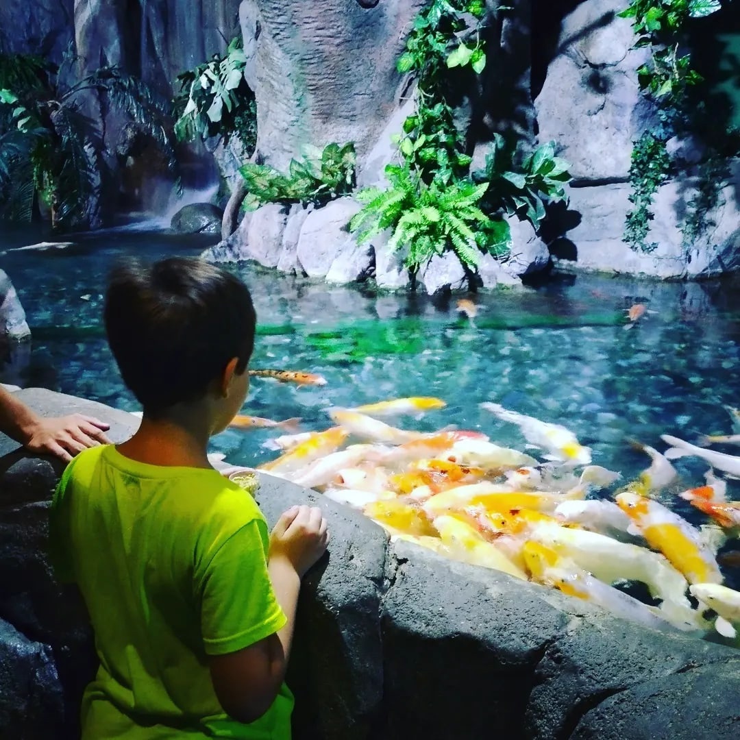 Фото из архива ВК-страницы Анастасии Бовиной