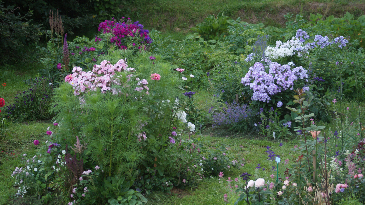 "Гармония" в правом углу