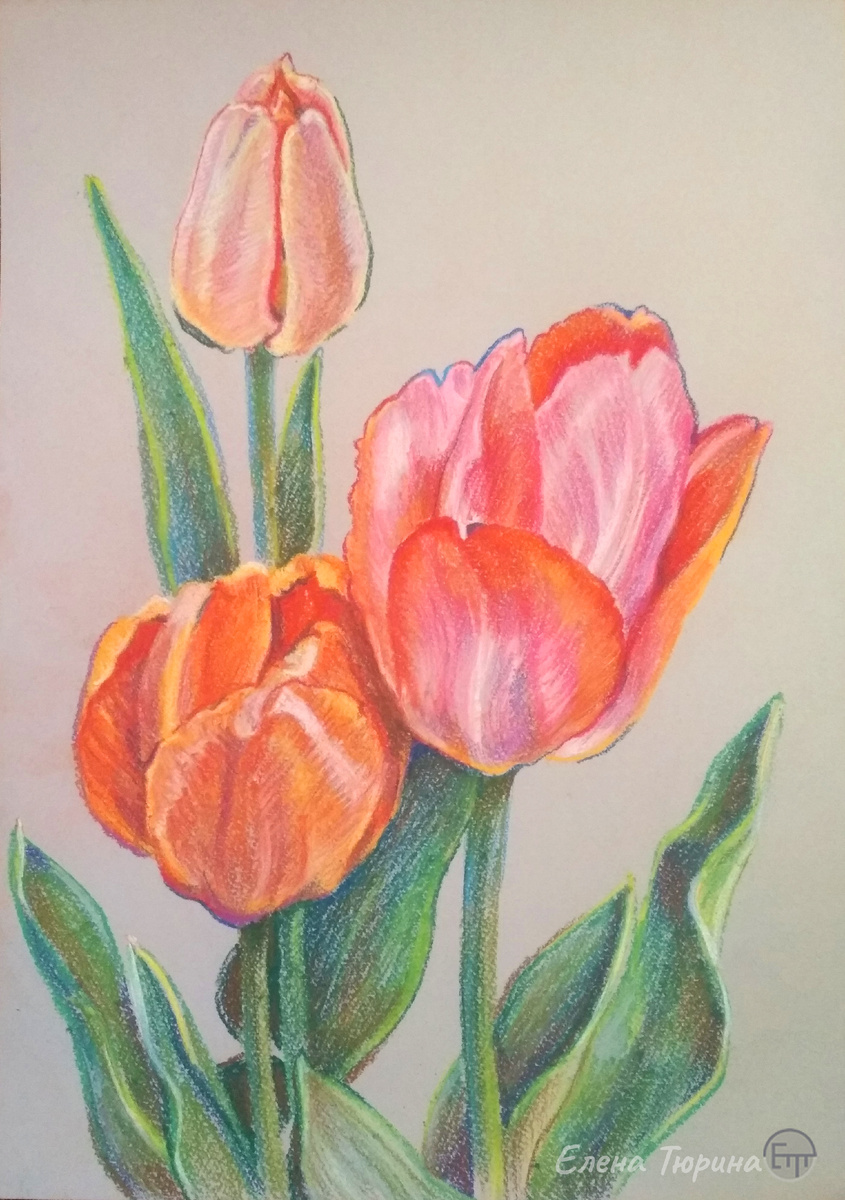 Художник Елена Тюрина. "Три тюльпана". Сухая пастель. 2021 г. Размер: 41,8 х 29,7 см.