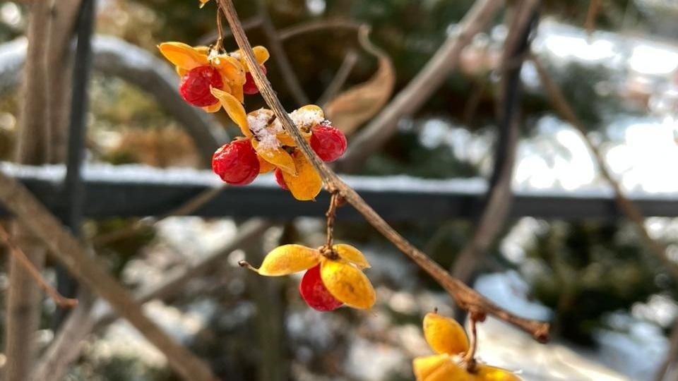     Источник: vostokmedia.com