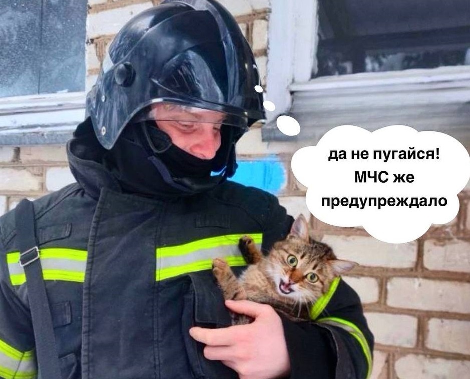 Фото: телеграм-канал МЧС РФ