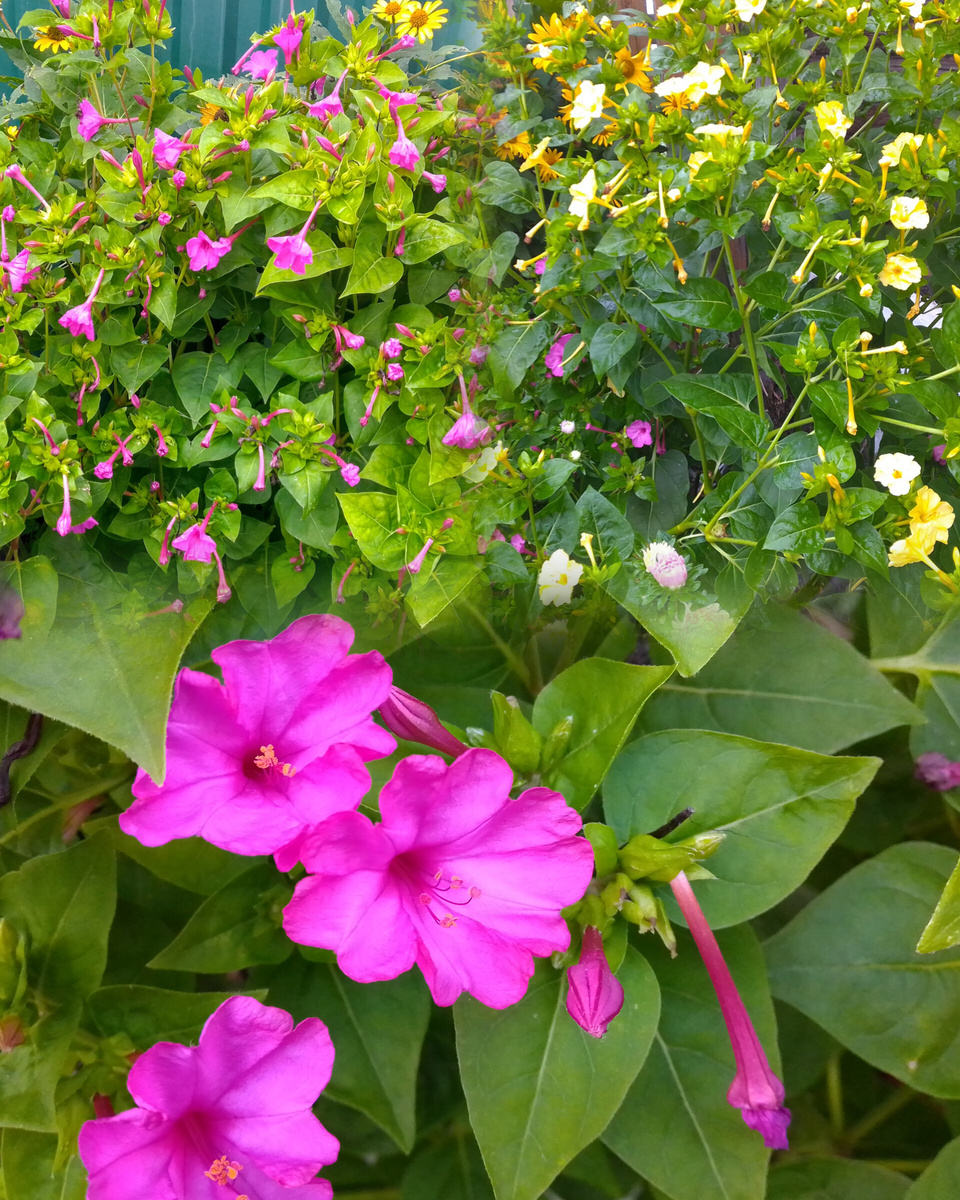 фото личное 