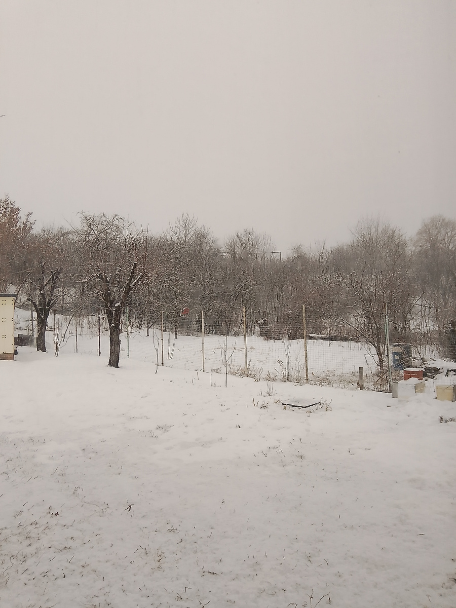 Фото личное. Картина печальная)))