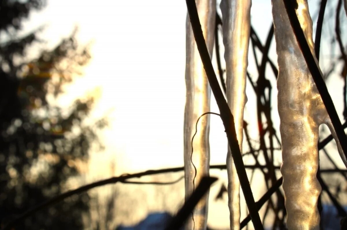    Плюсовые температуры вернуться в Приморье в среду, 5 марта