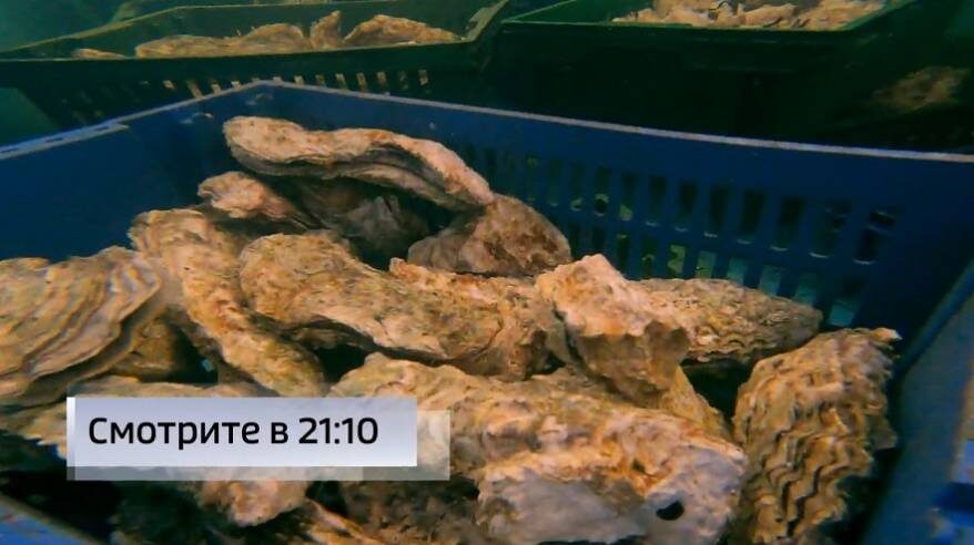    Источник фото: