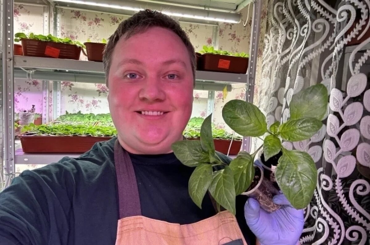    Агроном-блогер уверен, что рассада не терпит суеты.