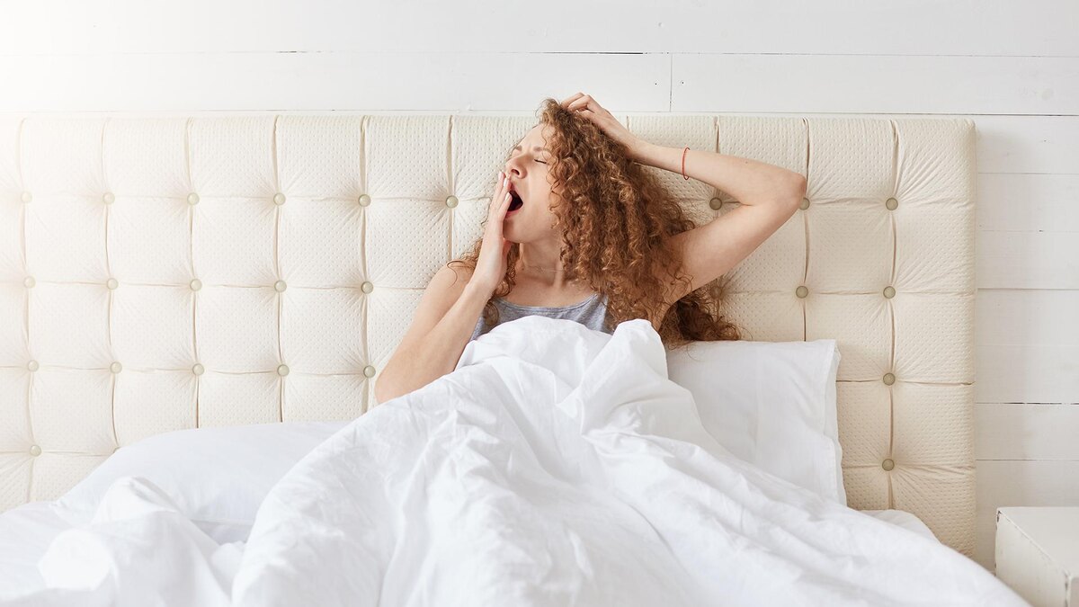 Фото: freepik.com/user18526052