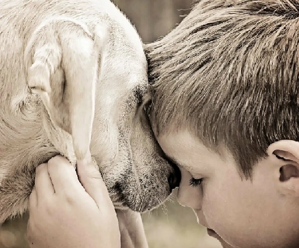 мальчик и пес