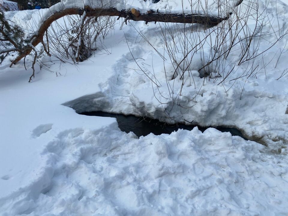    Поиск ребенка. Источник: Прокуратура Алтайского края
