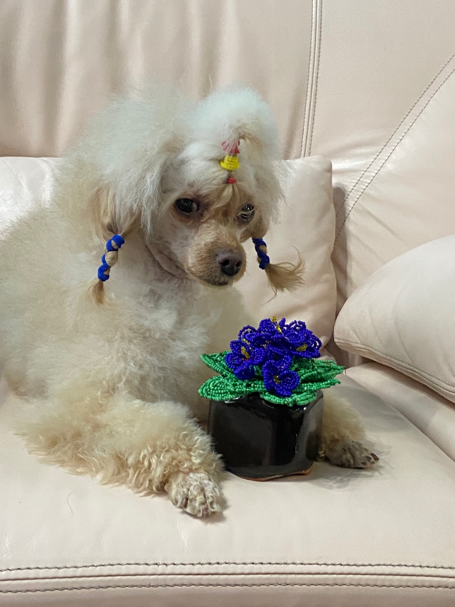 Витаминка с фиалочкой из бисера. Фото из личного архива автора.