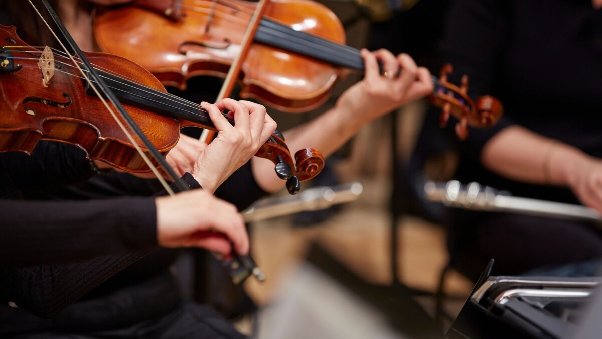    Фото: mnimage/Shutterstock/Fotodom