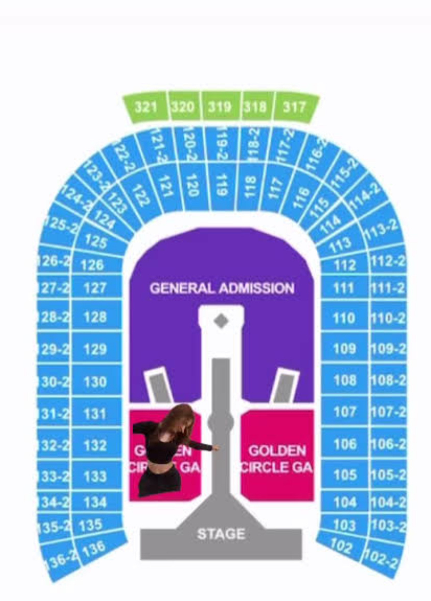 Вот сцена Stage , а Golden Circle розовым цветом прямо перед ней. На случай если вы как я не были знакомы с этим раньше.