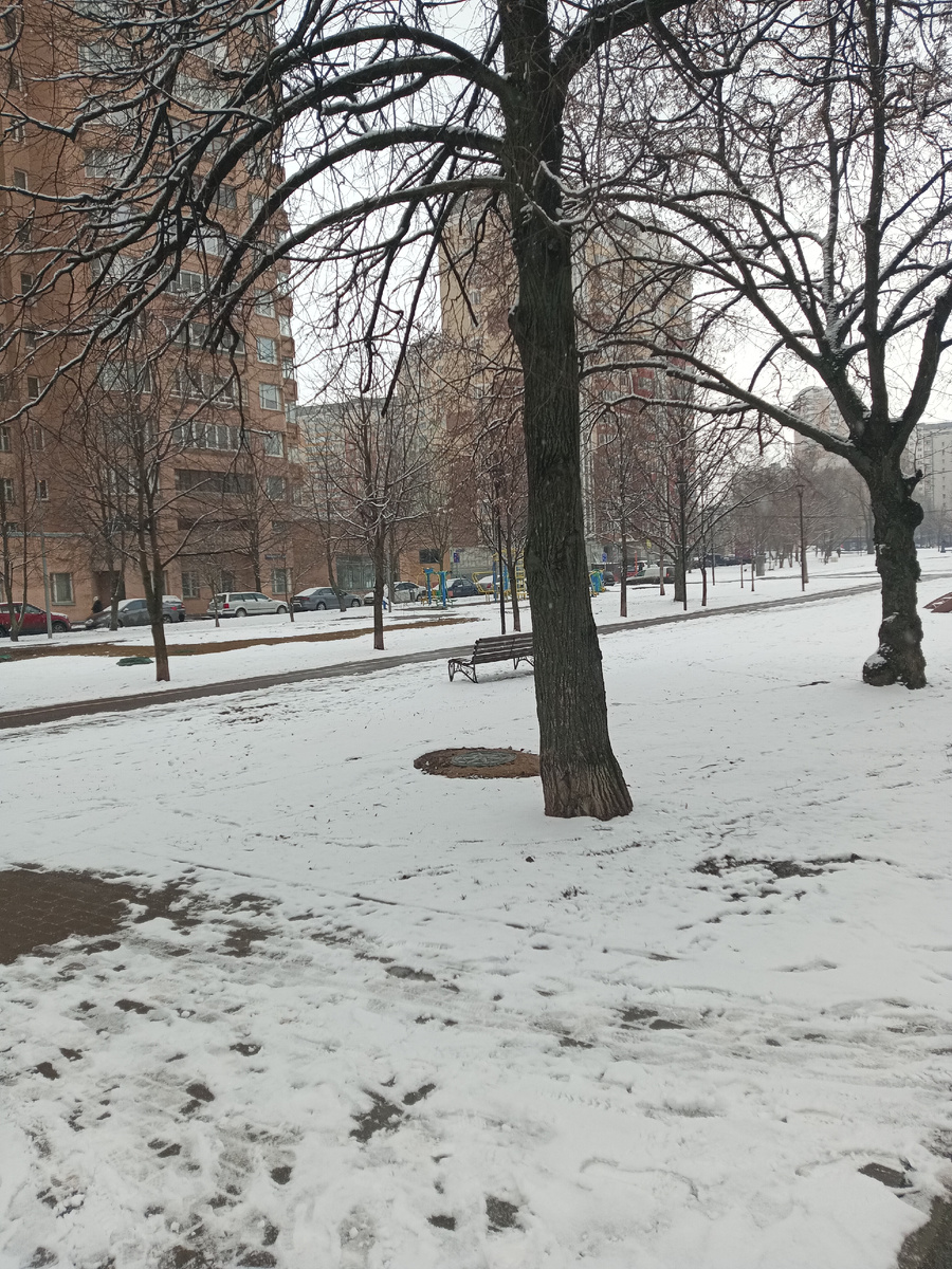 Зима пришла вместо весны. 02.03.25. Бескудниково. Москва. 