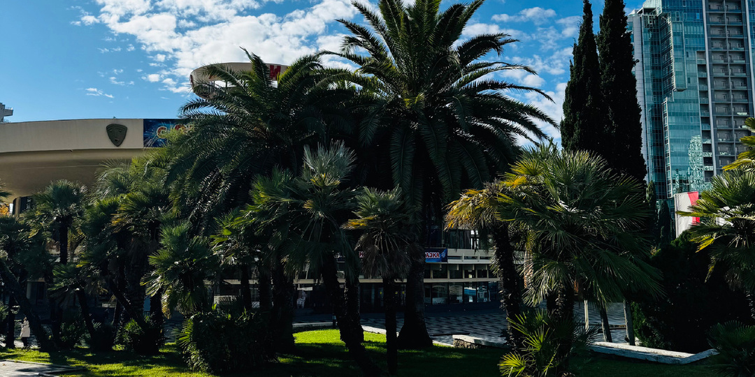 Зеленый рай Сочи в феврале: маршрут, который вас удивит!