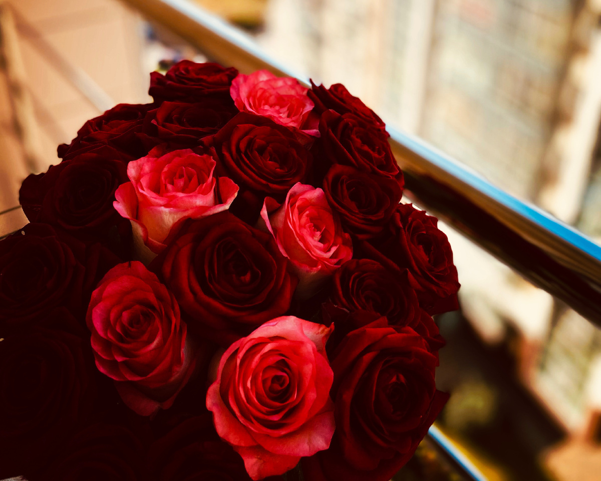    Красные розы, подарок на день рождения ❤️