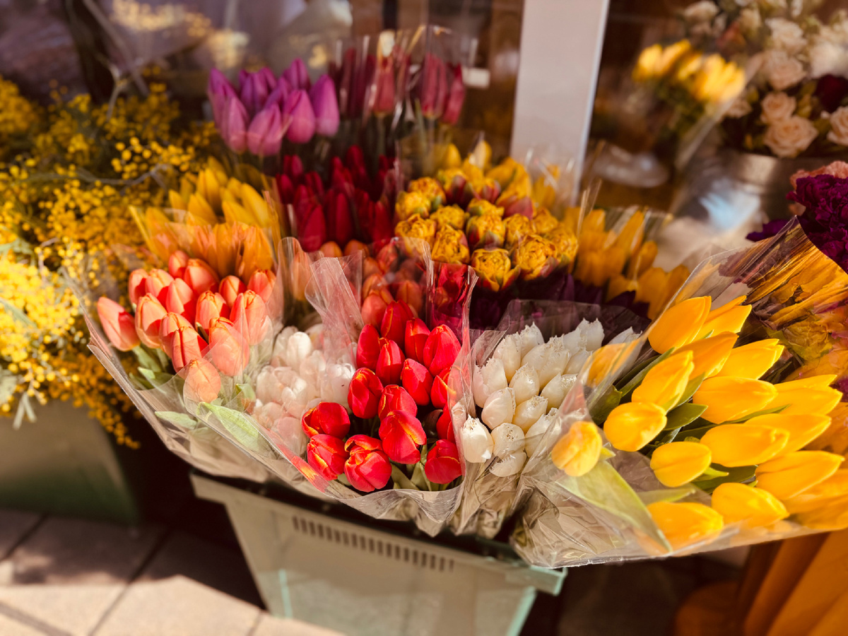    Торговая точка по продаже цветов, с продажей тюльпанов и мимозы из Абхазии, рядом с супермаркетом «Перекресток» Курортный проспект г. Сочи