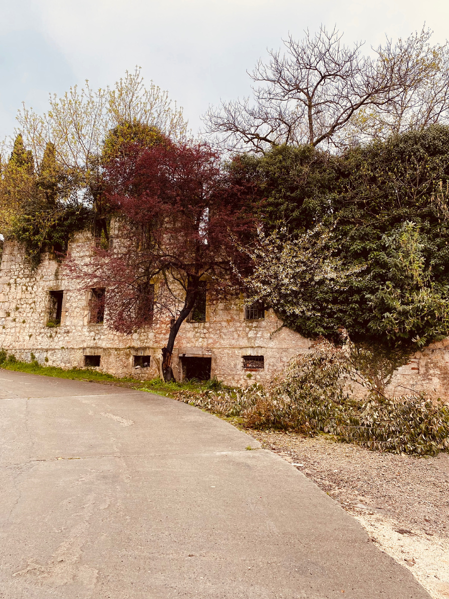    г. Новый Афон, Абхазия