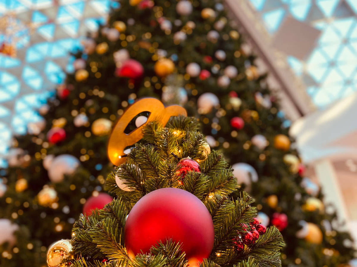    ТРЦ «МореМолл»