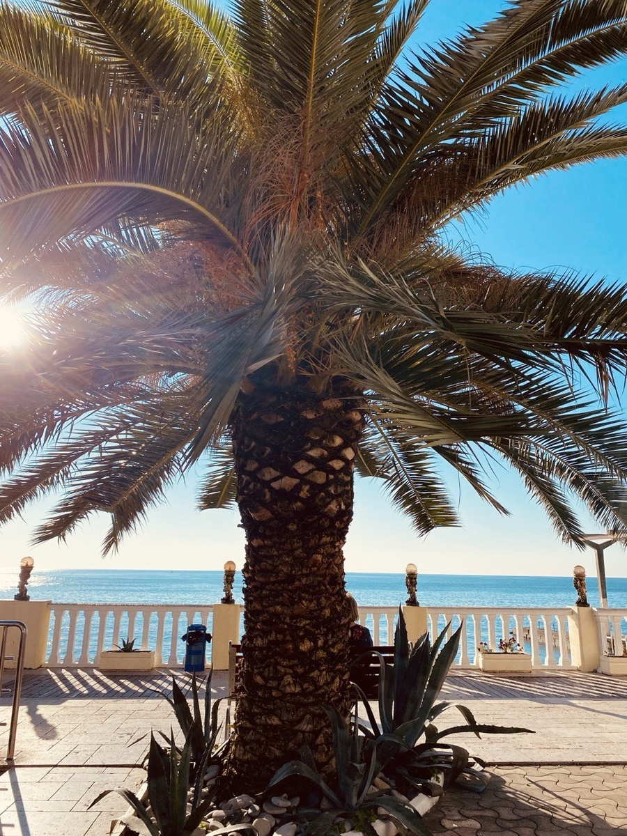    Набережная Мамайка