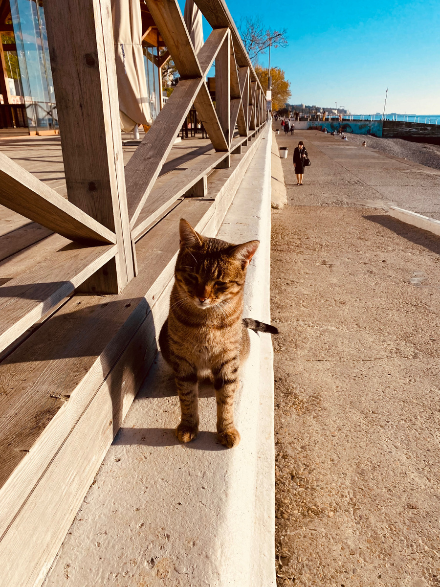    Набережная Мамайка