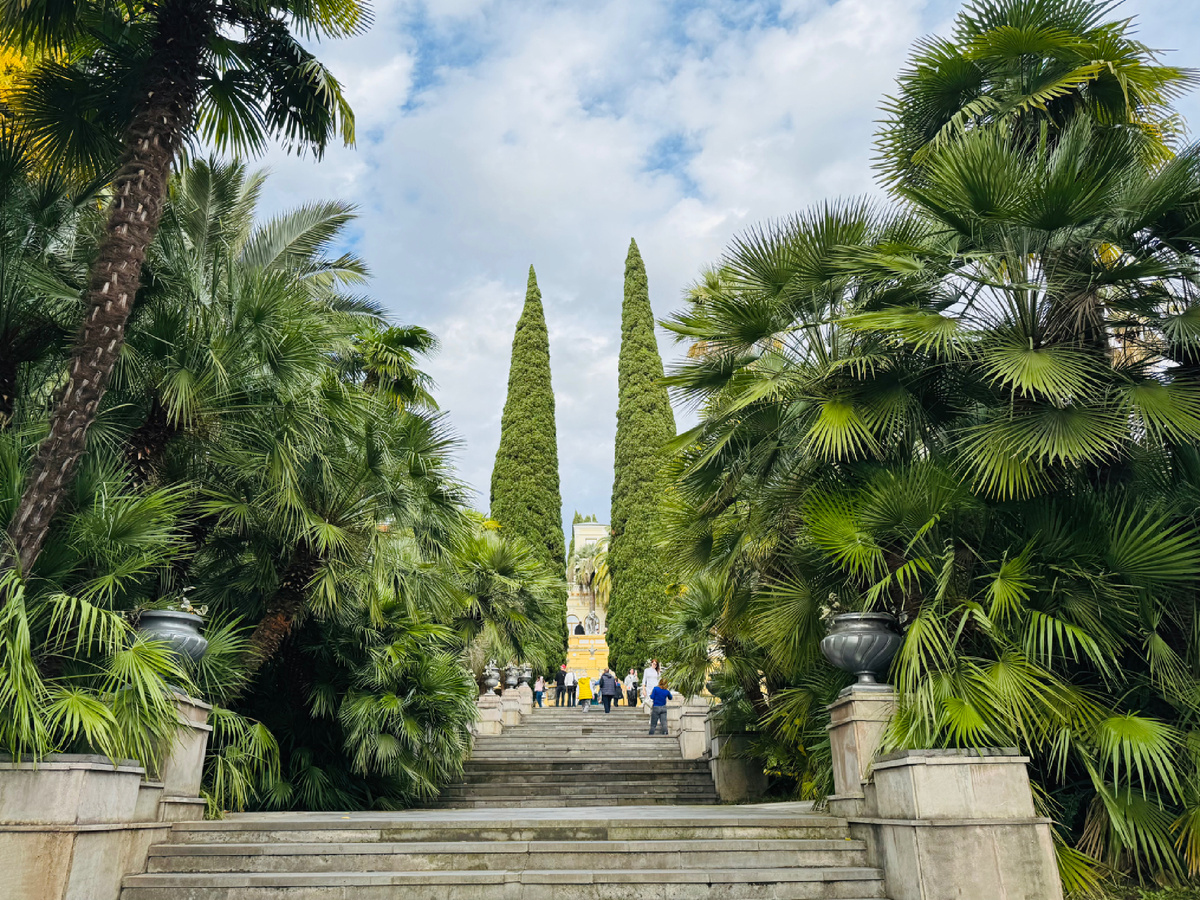    Верхний дендрарий, г, Сочи